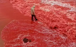 Sau trận mưa kỳ lạ, bãi biển bất ngờ nhuộm đỏ như máu, cơ quan lữ hành nói: Liên quan tới tên gọi nơi này