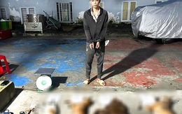 Ăn thịt chó do người khác trộm, có bị bắt không?