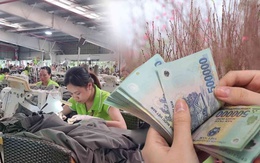 Ai được nghỉ hưu sớm từ năm 2025: Điều kiện chi tiết bạn nên biết!