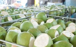 Sau sầu riêng, thêm một 'sản vật' của Việt Nam trở thành đối thủ lớn của Thái Lan: sản lượng hơn 2 triệu tấn/năm, nước ta là ông lớn thứ 7 thế giới