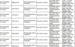 294 chủ xe đi ngược chiều, đi trên vỉa hè có biển số sau nhanh chóng nộp phạt nguội theo Nghị định 168