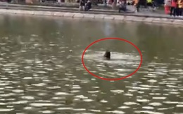 Vụ cô gái không mặc quần áo lội xuống Hồ Gươm: Nạn nhân đã tử vong, hé lộ nguyên nhân