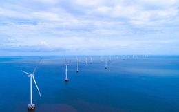 Cà Mau khát vọng trở thành trung tâm năng lượng xanh của quốc gia