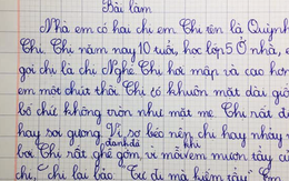 Bài văn tả chị gái của học sinh tiểu học gây bão: "Chị rất ghê gớm và đanh đá", còn có hẳn dẫn chứng mới đỉnh