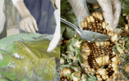 Hơn 9 triệu người vào xem món đặc sản núi rừng béo ngậy này, nhưng không biết có bao nhiêu người dám thử?