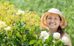 Mẹ chồng lương hưu 3 triệu mà vẫn đủ ăn mặc nên chê con dâu tiêu hoang, lên ở cùng 2 tháng thì bà cũng phải giật mình