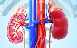 Người có thận khỏe thường chăm làm 4 việc này mỗi sáng: Ai thực hiện đủ thì xin chúc mừng!