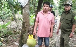 Vì sao người đàn ông bị khởi tố do trộm 2 trái mít ở Đồng Tháp?