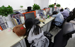 5 biểu hiện của người EQ thấp khi đi làm