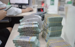 Doanh nghiệp gửi 'núi tiền' ở ngân hàng bất chấp lãi suất thấp