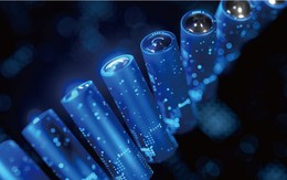 Từ kẻ thống trị, ngành pin Hàn Quốc lao dốc trước sự trỗi dậy của Trung Quốc, công suất không đạt nổi 40%