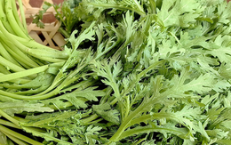 Đi chợ tháng 10, người thông minh chỉ mua 5 loại rau này, vừa không thuốc trừ sâu vừa rẻ