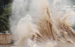 Bão Matmo tối nay vào Biển Đông