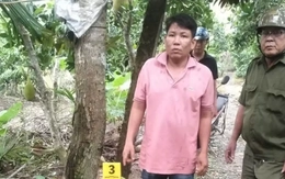 Người đàn ông bị khởi tố vì trộm hai trái mít: Đúng lý nhưng chưa hợp tình