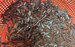 TP Hồ Chí Minh: Thu 2 kg đinh trên đường cửa ngõ, nghi do “đinh tặc” giăng bẫy