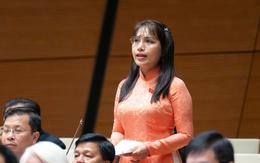 Đại biểu Quốc hội lo giới trẻ 'đắm chìm trong thế giới ảo, tổng tài bá đạo'