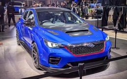 Fan tốc độ tại Việt Nam sẽ thích mẫu Subaru mới này: Dùng nền tảng WRX, dáng giống Civic Type R