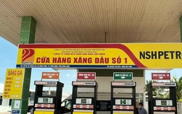 Bắt Phó Tổng Giám đốc Công ty Dầu khí Nam Sông Hậu