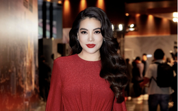 Hé lộ loạt lùm xùm quanh dự án bất động sản khiến diễn viên Trương Ngọc Ánh vướng vòng lao lý