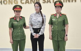 Diễn viên Trương Ngọc Ánh vì sao bị bắt, tội danh có khung hình phạt thế nào?