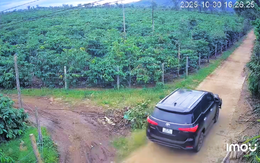 Danh tính lái xe ô tô tông chết người rồi bỏ trốn vào rẫy người dân Gia Lai