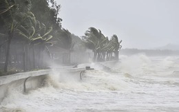 Bão số 11 giật cấp 16 ngày càng áp sát, hàng loạt tỉnh thành vào vùng nguy hiểm