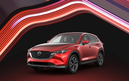 Không phải xe điện, mẫu xe bền bỉ này 'tốt nhất cho gia đình Việt' ở khoảng giá 600 triệu - 1 tỉ đồng