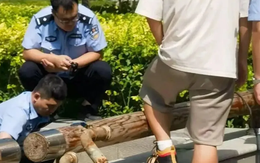 Bé trai 5 tuổi hét lên gọi mẹ rồi gặp nạn