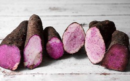 Nhiều người không ngờ: 3 loại rau củ rẻ bèo ở chợ Việt nhưng bổ phổi, giải độc cực mạnh vào mùa thu