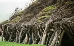 Nơi bị sét đánh nhiều nhất thế giới?