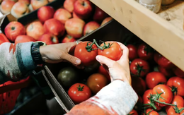 Cà chua tươi lâu suốt tháng nếu bạn biết mẹo bảo quản 'cực đỉnh' này