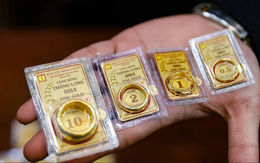 Mỗi người Việt bình quân sở hữu bao nhiêu chỉ hay cây vàng?