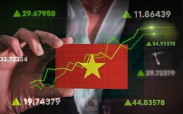 Không chỉ ngân hàng và chứng khoán, đây là nhóm cổ phiếu có thể "hút tiền" sau nâng hạng