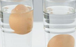 Cách phân biệt trứng tốt và trứng hỏng nhanh nhất, dễ nhất