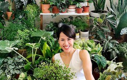 Giá không đắt nhưng 5 loại cây này được mệnh danh là “lá bùa giữ của” cho gia chủ tuổi trung niên