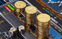 Công an vừa triệt phá dự án tiền ảo chiếm đoạt tiền của hơn 3.000 nhà đầu tư: Ai là bị hại cần liên hệ ngay với cơ quan công an