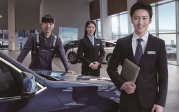 Khủng hoảng nghề bán xe hơi tại Trung Quốc: Các đại lý vật lộn trong thua lỗ, một số phá sản để lại hàng trăm khách hàng bơ vơ