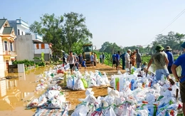 Tổ phó Tổ An ninh cơ sở ở Bắc Ninh qua đời khi phòng chống lụt bão