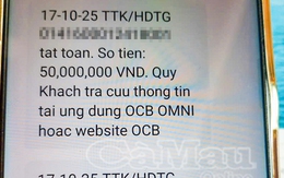 Đang thực hiện xác minh khuôn mặt và CCCD, ngân hàng bất ngờ gửi cảnh báo khẩn: Người đàn ông vội rút sim, tắt wifi nhưng tài khoản đã bị trừ 350 triệu đồng