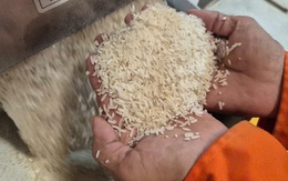 Những loại gạo nào có cơ hội ở thị trường nhập khẩu gạo tới 90%?