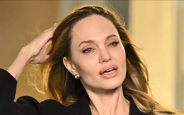 Brad Pitt tung đòn chí mạng vào Angelina Jolie