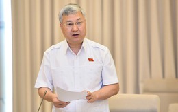 Đại biểu Quốc hội: Áp thuế 1-5% trên doanh thu là 'hết cả lãi' của người kinh doanh nhỏ lẻ