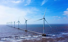 REE rót thêm 3.250 tỷ làm điện gió
