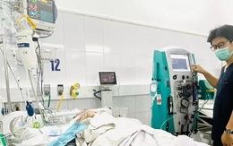 Dọn dẹp sau mưa lũ, nhiều người bị rắn độc cắn