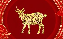 Tổng quan tử vi tuổi Mùi năm 2026