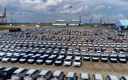 Hình ảnh hàng ngàn chiếc ô tô nhập về cảng TP HCM