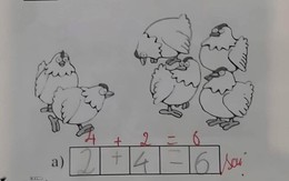 Bài toán lớp 1 khiến cộng đồng mạng chia phe tranh luận