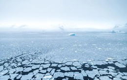 Bất ngờ dưới lớp băng Nam Cực khiến giới khoa học sửng sốt