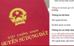 Người dân bắt đầu được nộp sổ đỏ qua VNeID, cách làm thế nào?