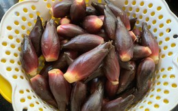 Loại rau người Nhật coi như "nhân sâm châu Á": Mọc đầy Việt Nam nhưng ít người biết